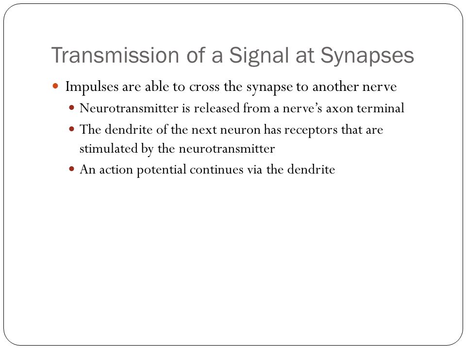 Transmission of a Signal at Synapses Impulses are able to cross the synapse to another nerve Neurotransmitter is released from a nerve’s axon terminal The dendrite of the next neuron has receptors that are stimulated by the neurotransmitter An action potential continues via the dendrite