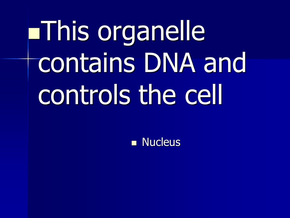 This organelle contains DNA and controls the cell This organelle contains DNA and controls the cell Nucleus