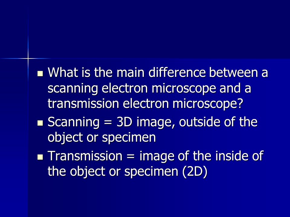 What is the main difference between a scanning electron microscope and a transmission electron microscope.