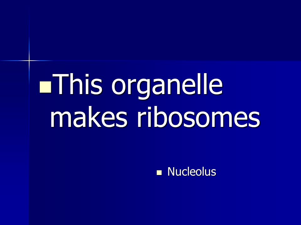 This organelle makes ribosomes This organelle makes ribosomes Nucleolus