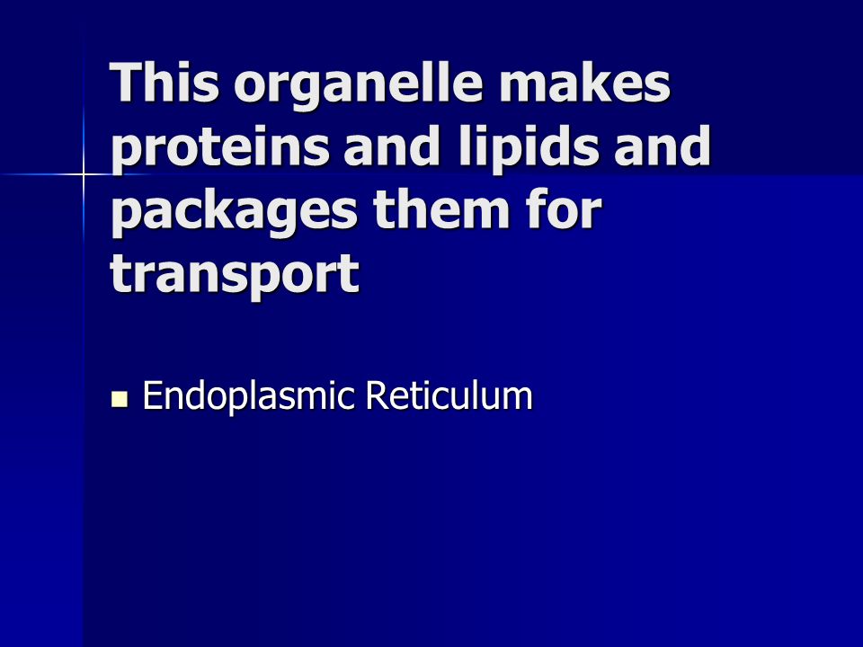 This organelle makes proteins and lipids and packages them for transport Endoplasmic Reticulum Endoplasmic Reticulum