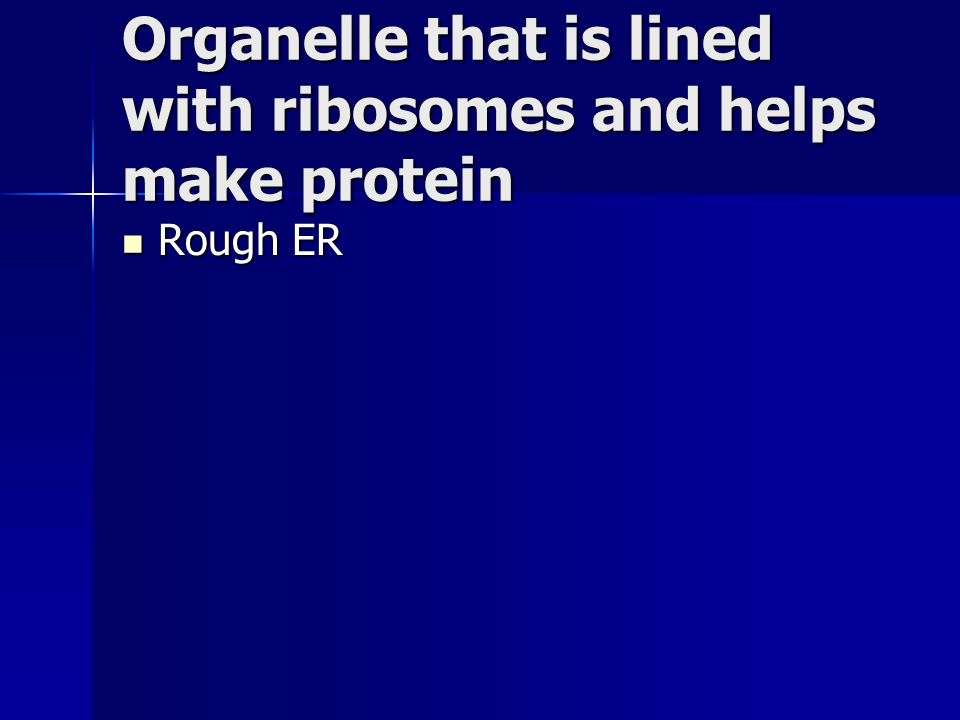 Organelle that is lined with ribosomes and helps make protein Rough ER Rough ER