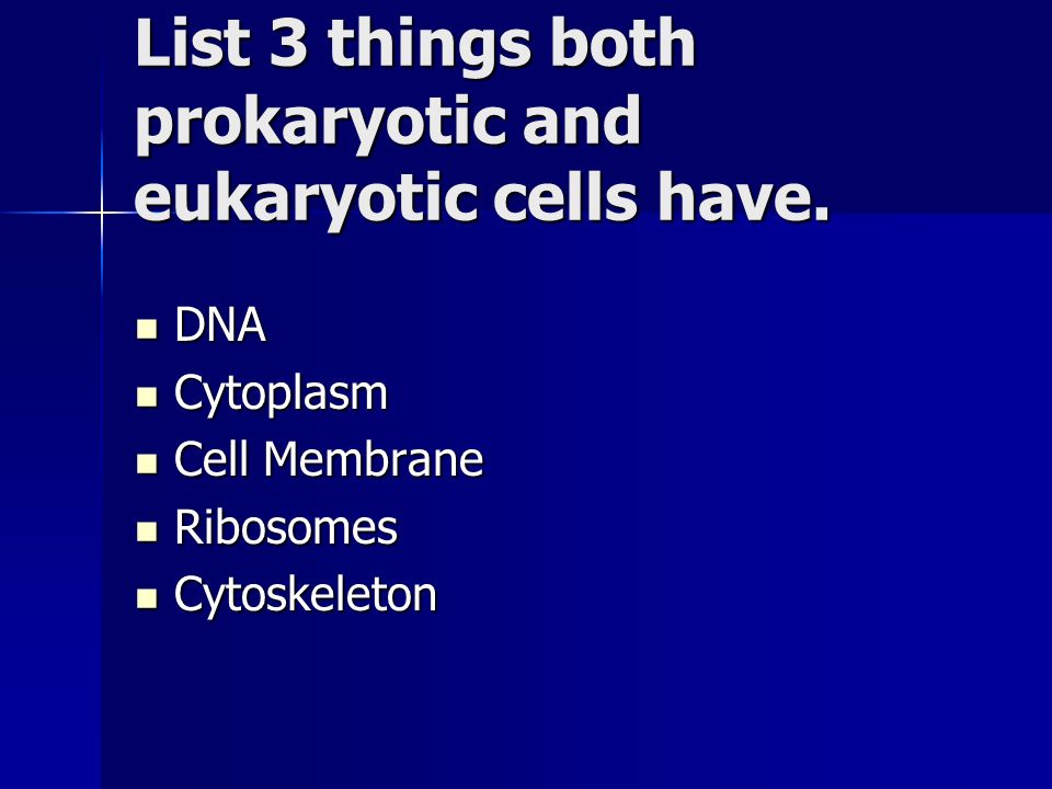 List 3 things both prokaryotic and eukaryotic cells have.