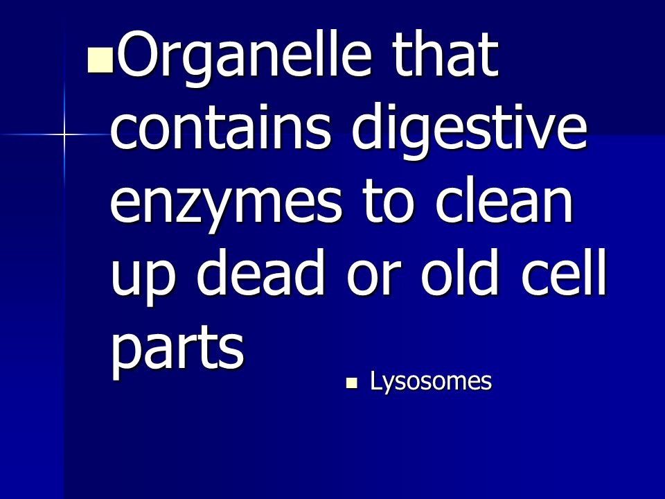 Organelle that contains digestive enzymes to clean up dead or old cell parts Organelle that contains digestive enzymes to clean up dead or old cell parts Lysosomes
