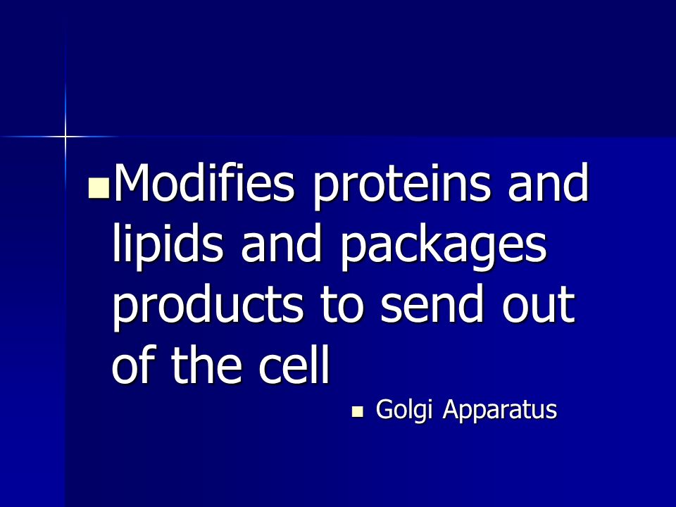 Modifies proteins and lipids and packages products to send out of the cell Modifies proteins and lipids and packages products to send out of the cell Golgi Apparatus