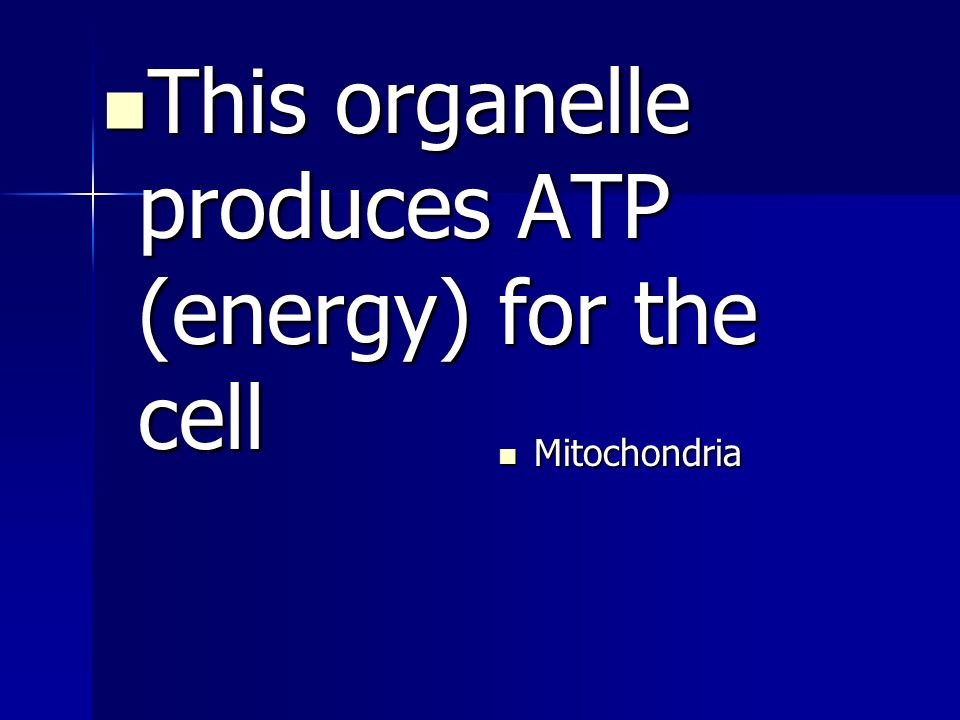 This organelle produces ATP (energy) for the cell This organelle produces ATP (energy) for the cell Mitochondria