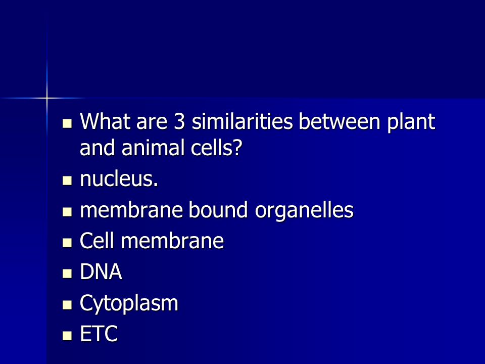 What are 3 similarities between plant and animal cells.