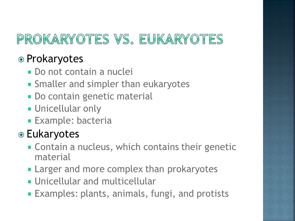  Prokaryotes  Do not contain a nuclei  Smaller and simpler than eukaryotes  Do contain genetic material  Unicellular only  Example: bacteria  Eukaryotes  Contain a nucleus, which contains their genetic material  Larger and more complex than prokaryotes  Unicellular and multicellular  Examples: plants, animals, fungi, and protists