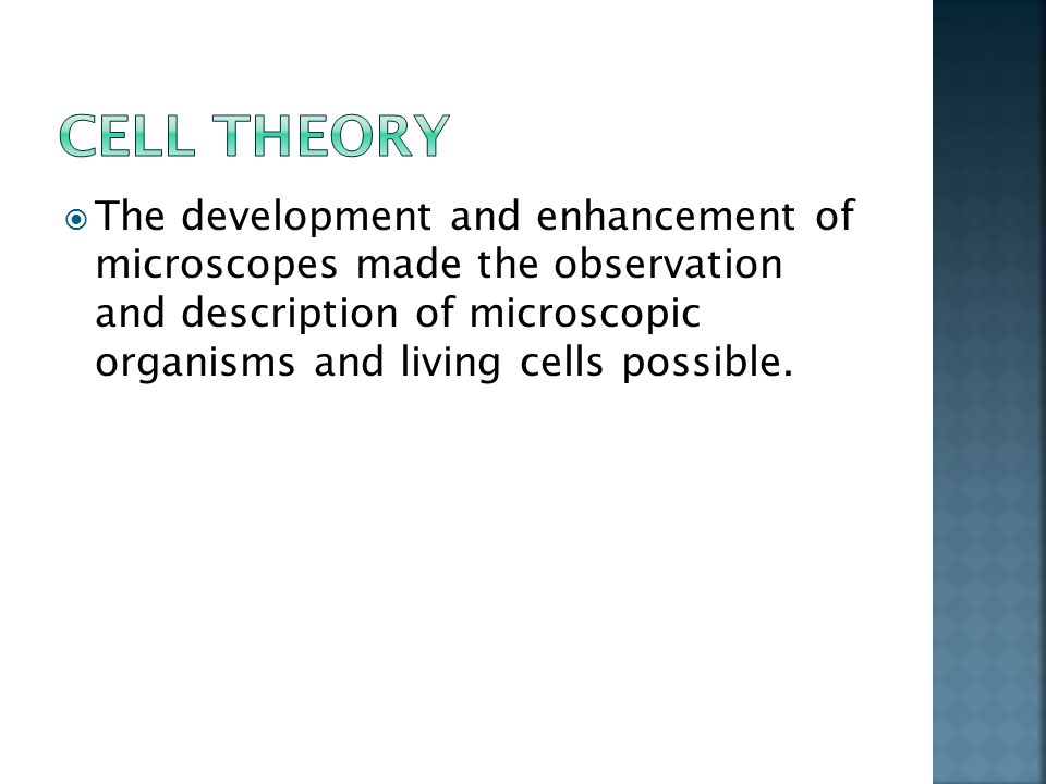  The development and enhancement of microscopes made the observation and description of microscopic organisms and living cells possible.