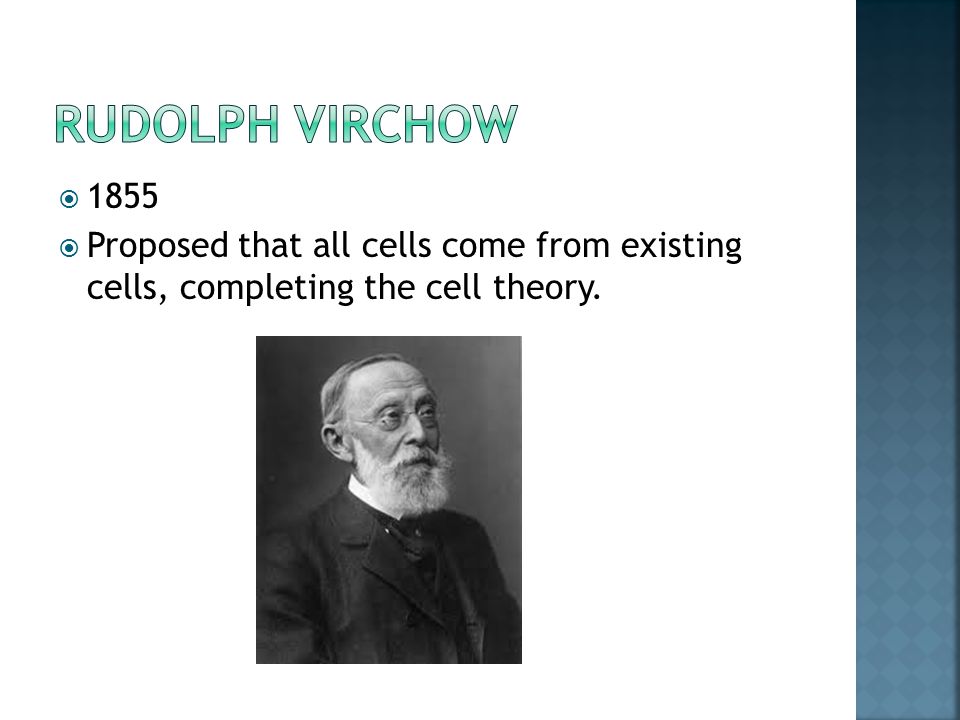  1855  Proposed that all cells come from existing cells, completing the cell theory.