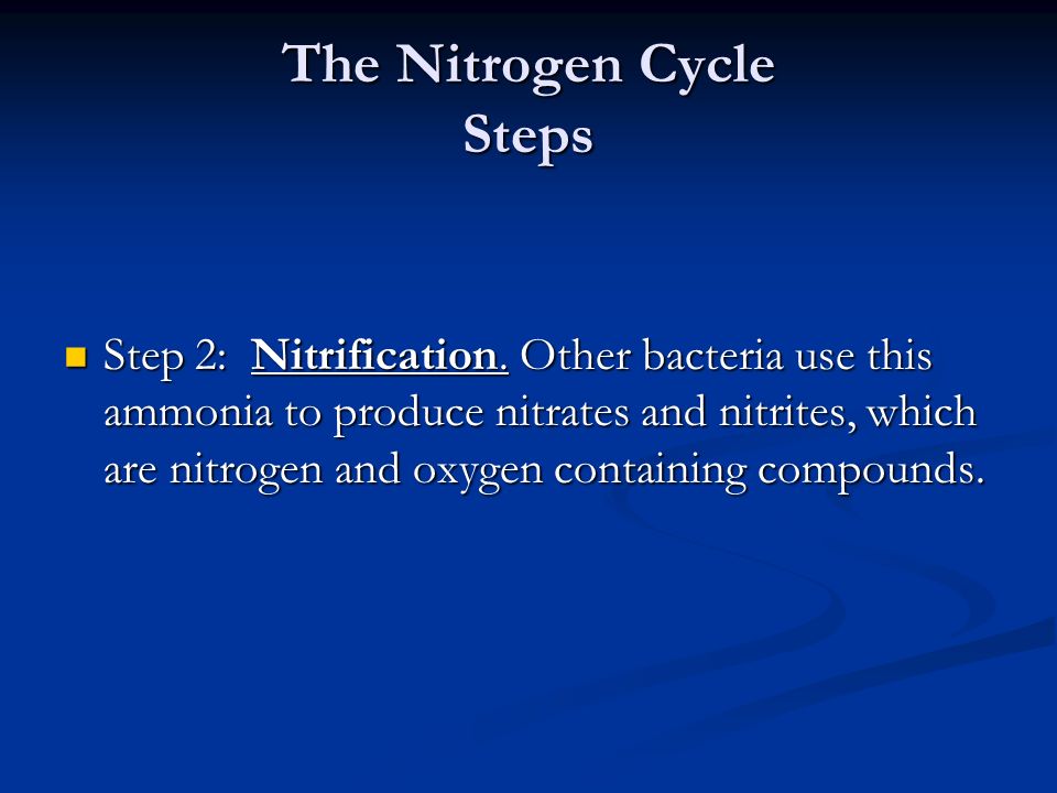 The Nitrogen Cycle Steps Step 1: Nitrogen Fixation.