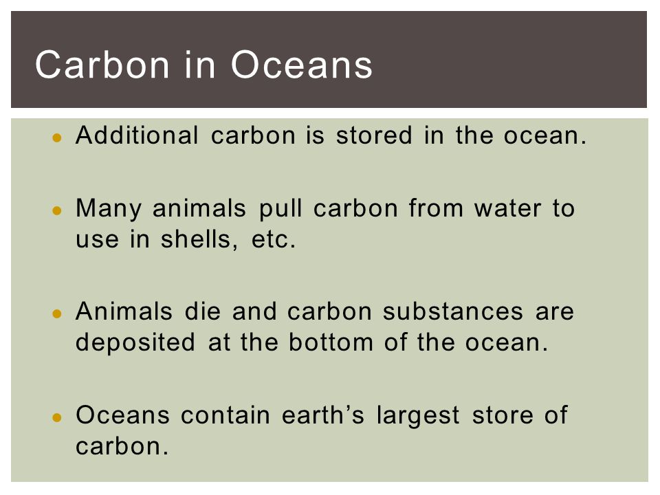 ● Additional carbon is stored in the ocean.