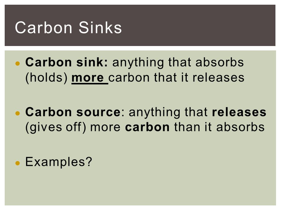 ● Carbon sink: anything that absorbs (holds) more carbon that it releases ● Carbon source: anything that releases (gives off) more carbon than it absorbs ● Examples.