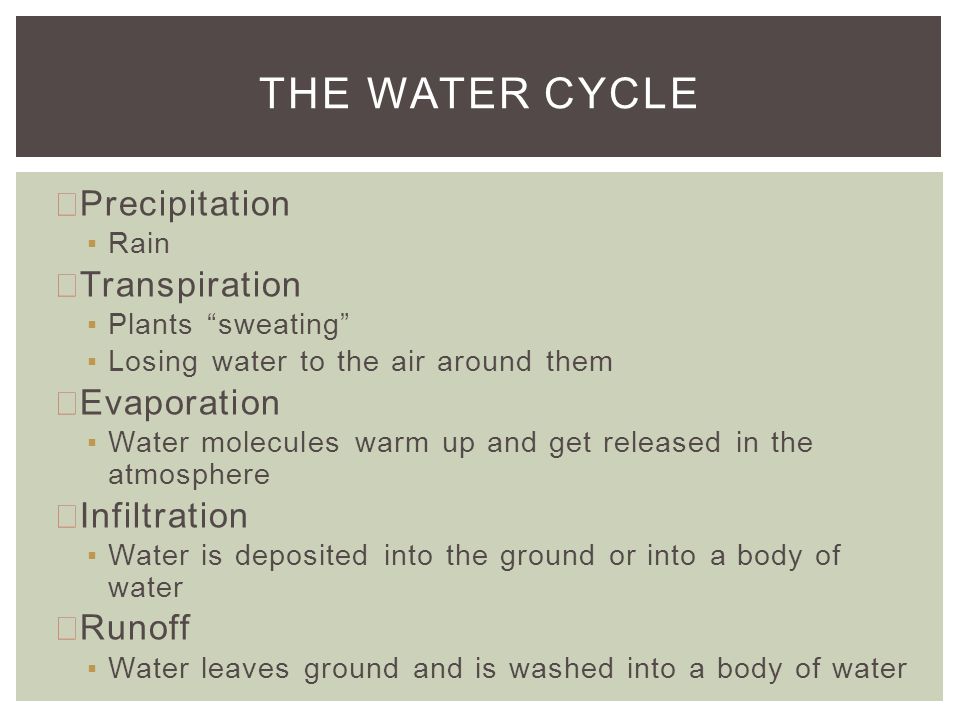 Precipitation ▪Rain Transpiration ▪Plants sweating ▪Losing water to the air around them Evaporation ▪Water molecules warm up and get released in the atmosphere Infiltration ▪Water is deposited into the ground or into a body of water Runoff ▪Water leaves ground and is washed into a body of water THE WATER CYCLE