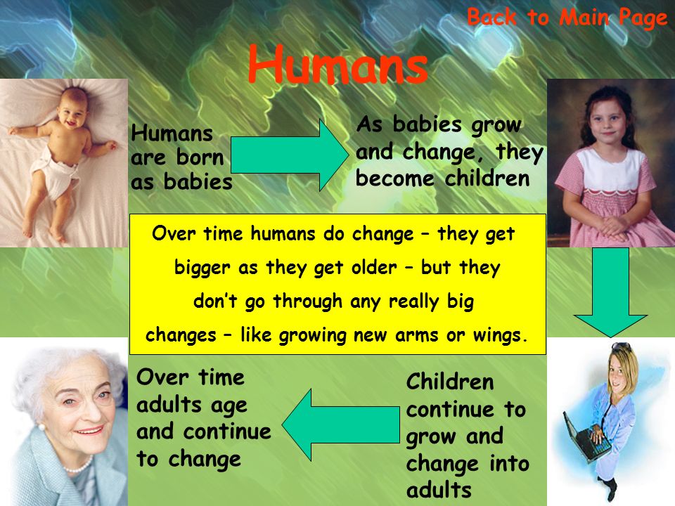 Humans Humans are born as babies As babies grow and change, they become children Children continue to grow and change into adults Over time adults age and continue to change Over time humans do change – they get bigger as they get older – but they don’t go through any really big changes – like growing new arms or wings.