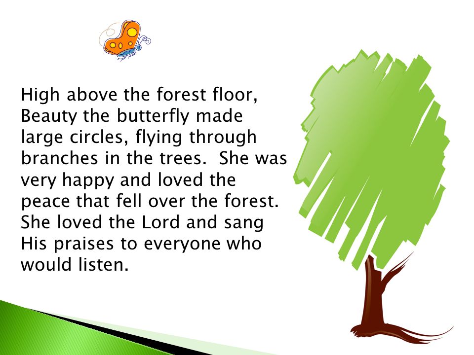 High above the forest floor, Beauty the butterfly made large circles, flying through branches in the trees.