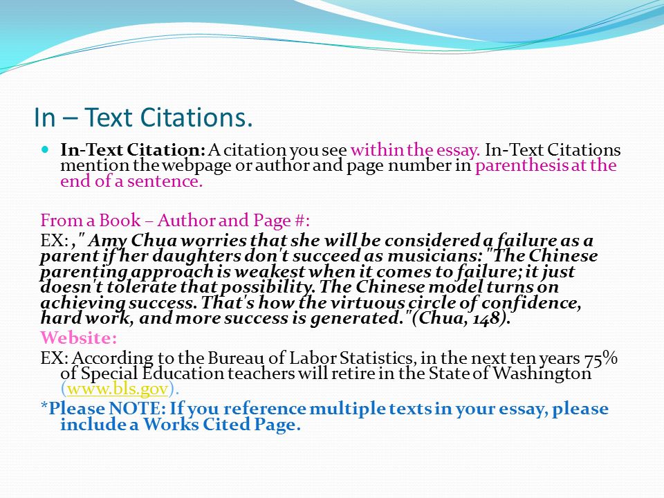 Citations Essay