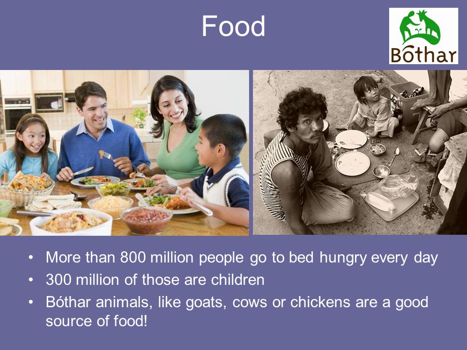 Food More than 800 million people go to bed hungry every day 300 million of those are children Bóthar animals, like goats, cows or chickens are a good source of food!