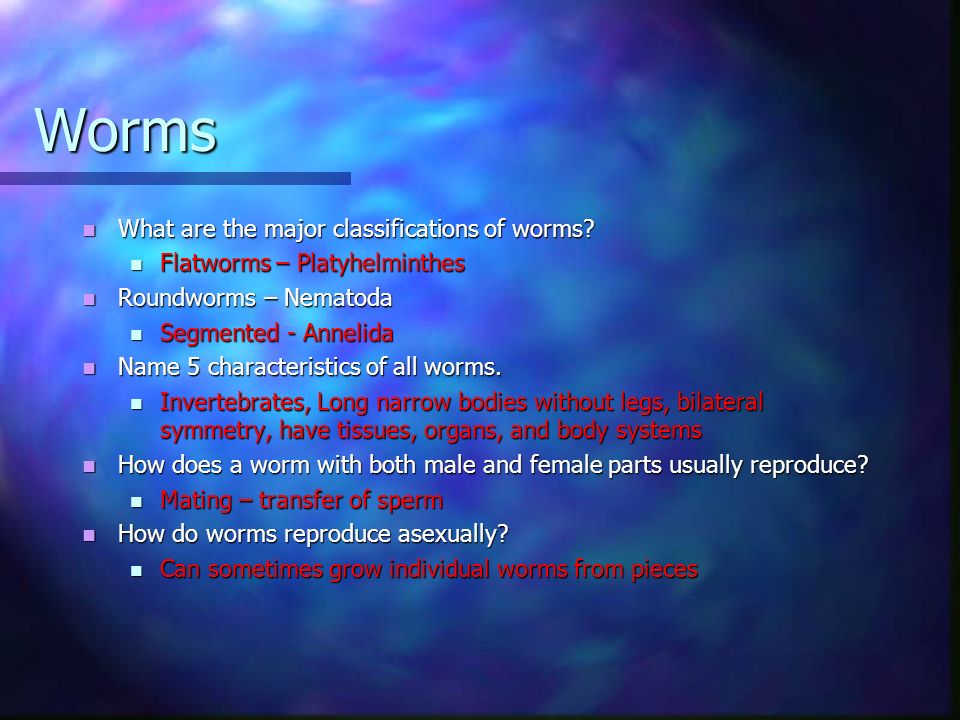 Write Essay Describing Someone
