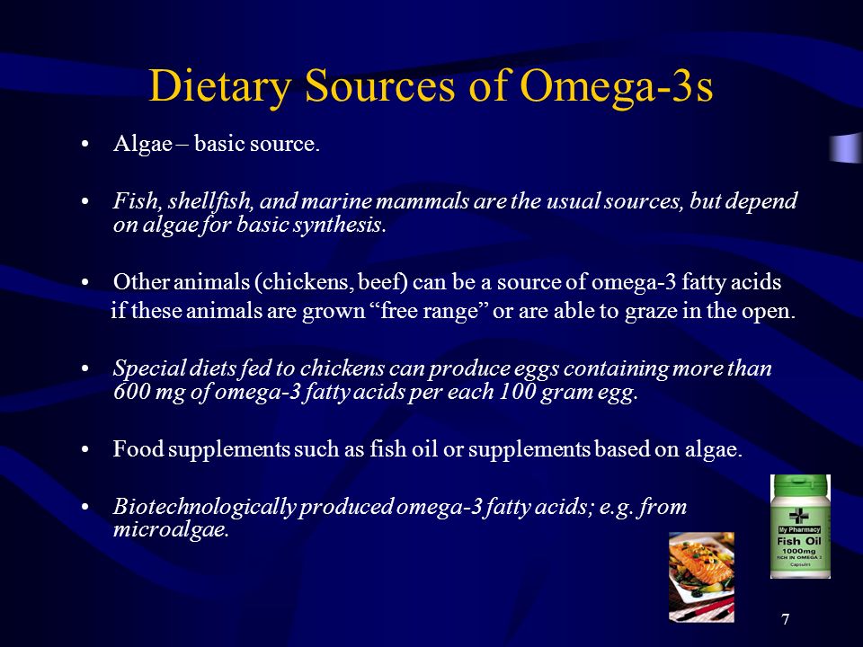 How To Grow Omega-3 Eggs Diet