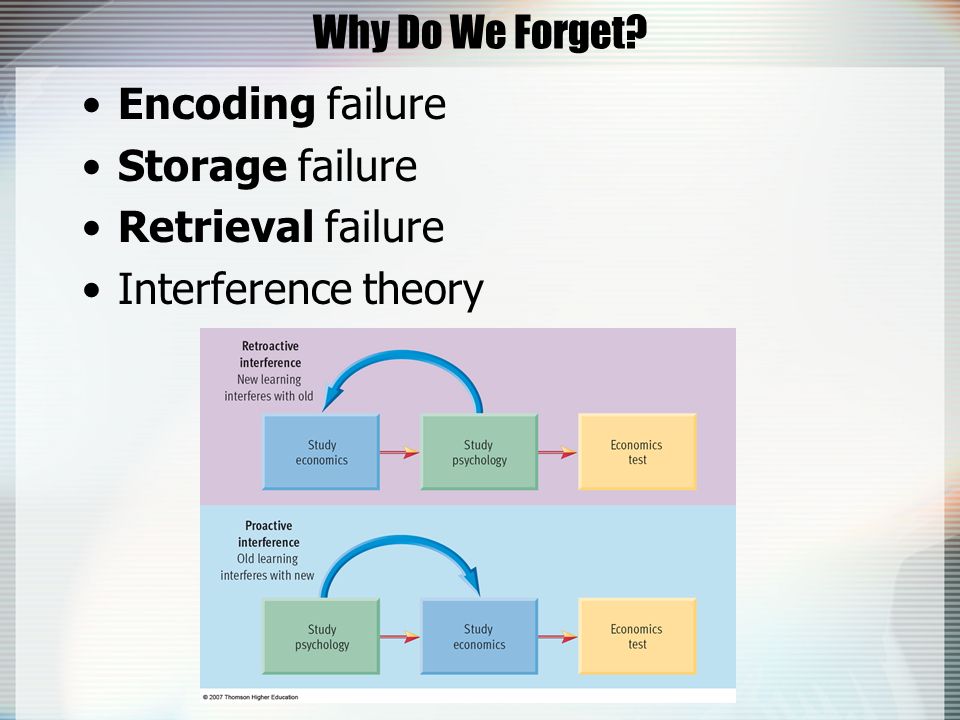 why we forget Pamela paul’s memories of reading are less about words and more about the experience. why we forget Pamela paul’s memories of reading are less about words and more about the experience.