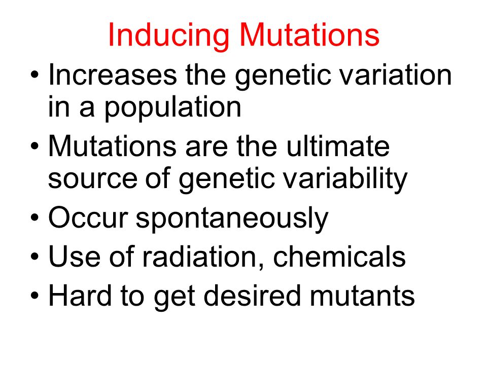 Inducing Mutations Increases the genetic variation in a population Mutations are the ultimate source of genetic variability Occur spontaneously Use of radiation, chemicals Hard to get desired mutants