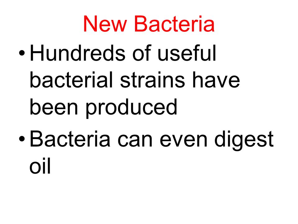 New Bacteria Hundreds of useful bacterial strains have been produced Bacteria can even digest oil