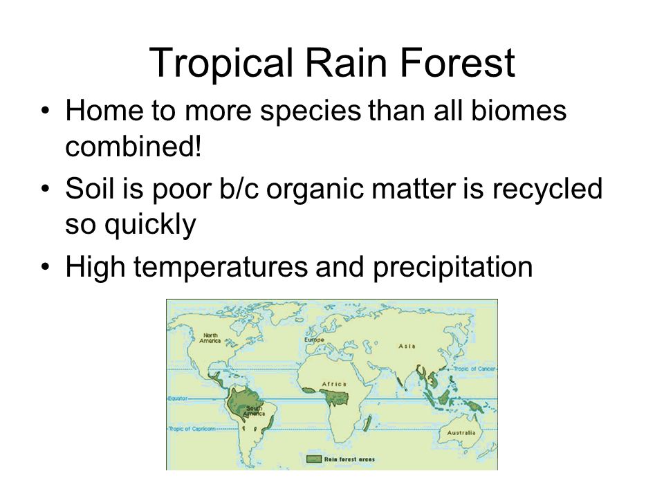 Tropical Rain Forest Home to more species than all biomes combined.