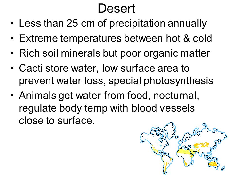 Desert Less than 25 cm of precipitation annually Extreme temperatures between hot & cold Rich soil minerals but poor organic matter Cacti store water, low surface area to prevent water loss, special photosynthesis Animals get water from food, nocturnal, regulate body temp with blood vessels close to surface.