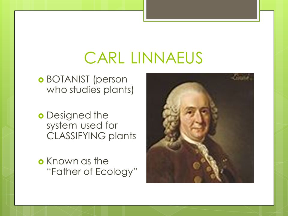 CARL LINNAEUS  BOTANIST (person who studies plants)  Designed the system used for CLASSIFYING plants  Known as the Father of Ecology