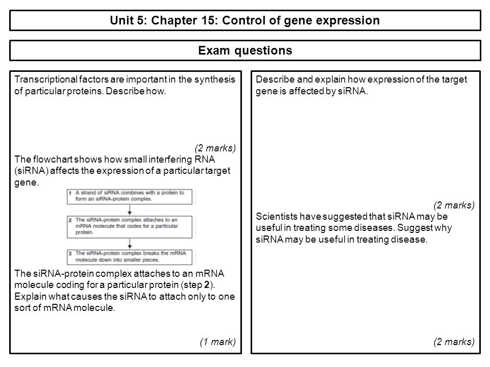structure of an essay question structure of an essay question