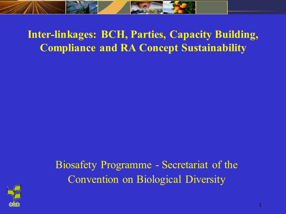 1 Inter-linkages: BCH, Parties, Capacity Building, Compliance and RA Concept Sustainability Biosafety Programme - Secretariat of the Convention on Biological Diversity