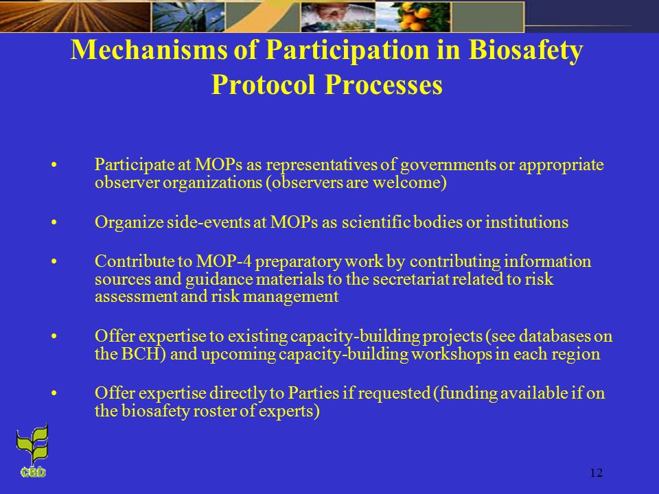 12 Participate at MOPs as representatives of governments or appropriate observer organizations (observers are welcome) Organize side-events at MOPs as scientific bodies or institutions Contribute to MOP-4 preparatory work by contributing information sources and guidance materials to the secretariat related to risk assessment and risk management Offer expertise to existing capacity-building projects (see databases on the BCH) and upcoming capacity-building workshops in each region Offer expertise directly to Parties if requested (funding available if on the biosafety roster of experts) Mechanisms of Participation in Biosafety Protocol Processes