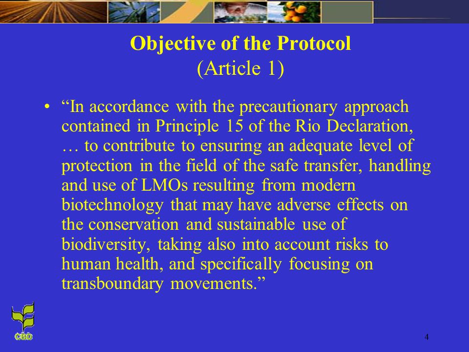 4 Objective of the Protocol (Article 1) In accordance with the precautionary approach contained in Principle 15 of the Rio Declaration, … to contribute to ensuring an adequate level of protection in the field of the safe transfer, handling and use of LMOs resulting from modern biotechnology that may have adverse effects on the conservation and sustainable use of biodiversity, taking also into account risks to human health, and specifically focusing on transboundary movements.