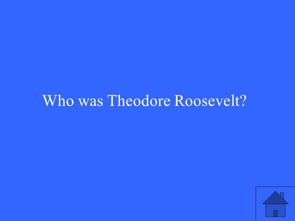 Who was Theodore Roosevelt