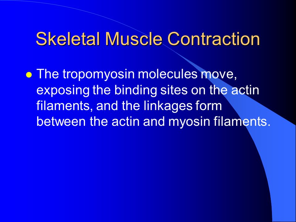 What is the tropomyosin molecule held in place by when at rest?