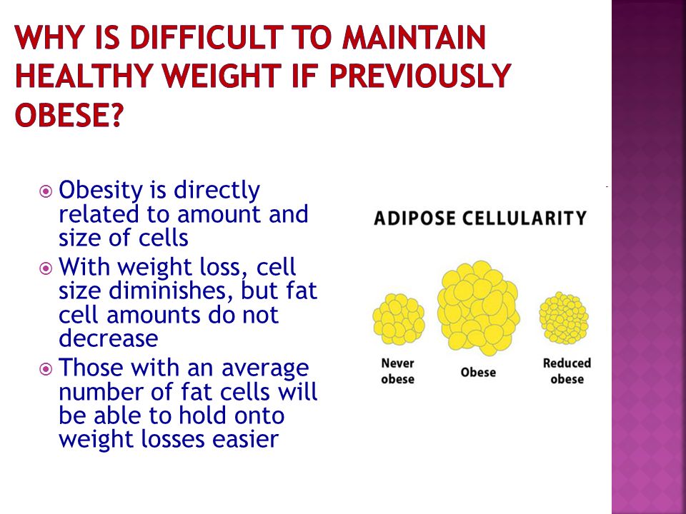 How much protein do i need to lose weight fast picture 8