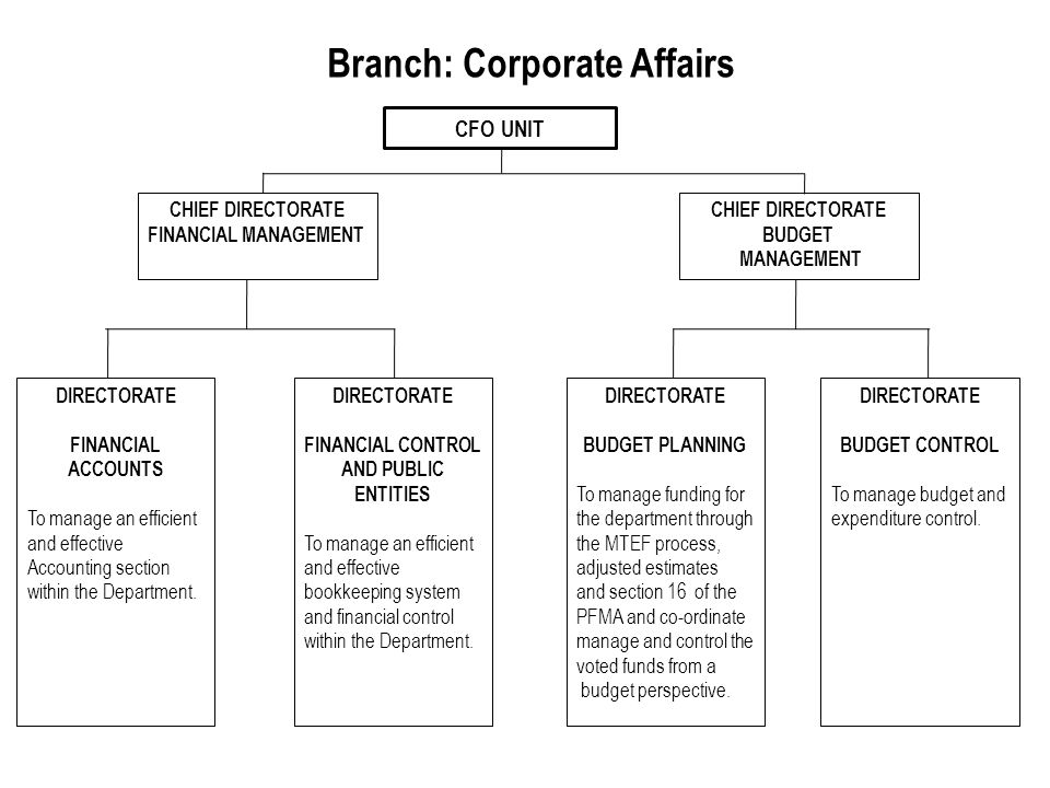CFO UNIT CHIEF DIRECTORATE FINANCIAL MANAGEMENT Branch: Corporate Affairs DIRECTORATE FINANCIAL CONTROL AND PUBLIC ENTITIES To manage an efficient and effective bookkeeping system and financial control within the Department.