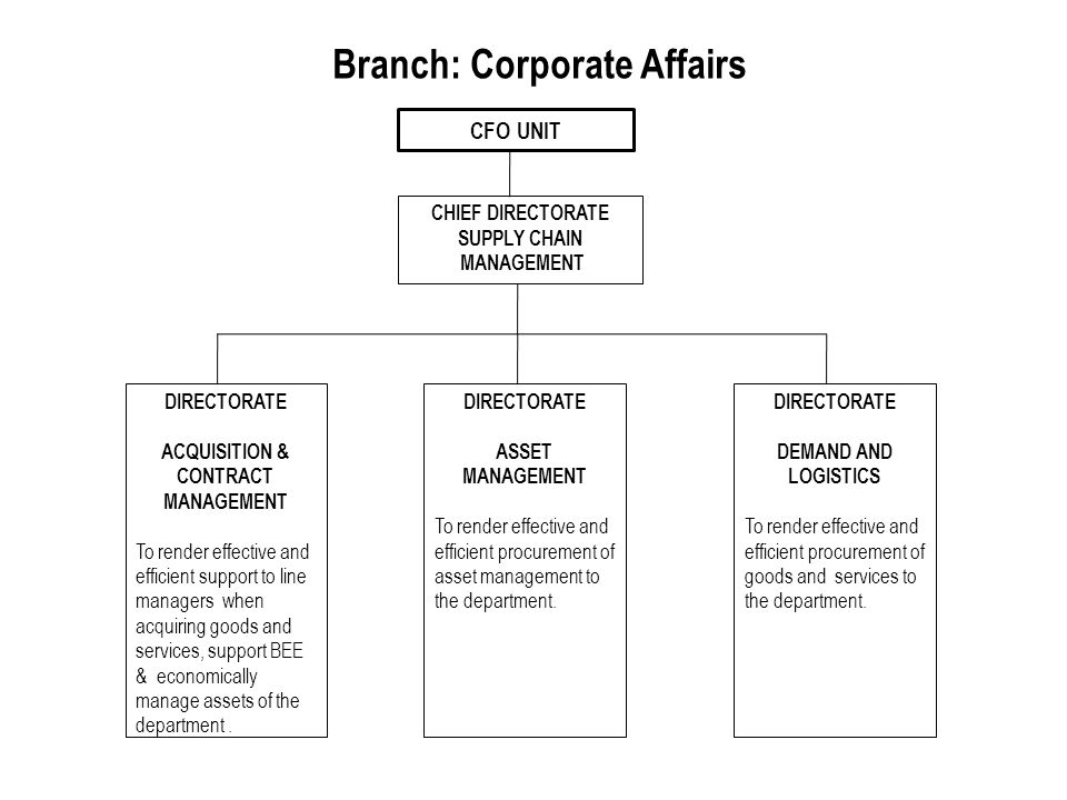 CFO UNIT Branch: Corporate Affairs DIRECTORATE ASSET MANAGEMENT To render effective and efficient procurement of asset management to the department.
