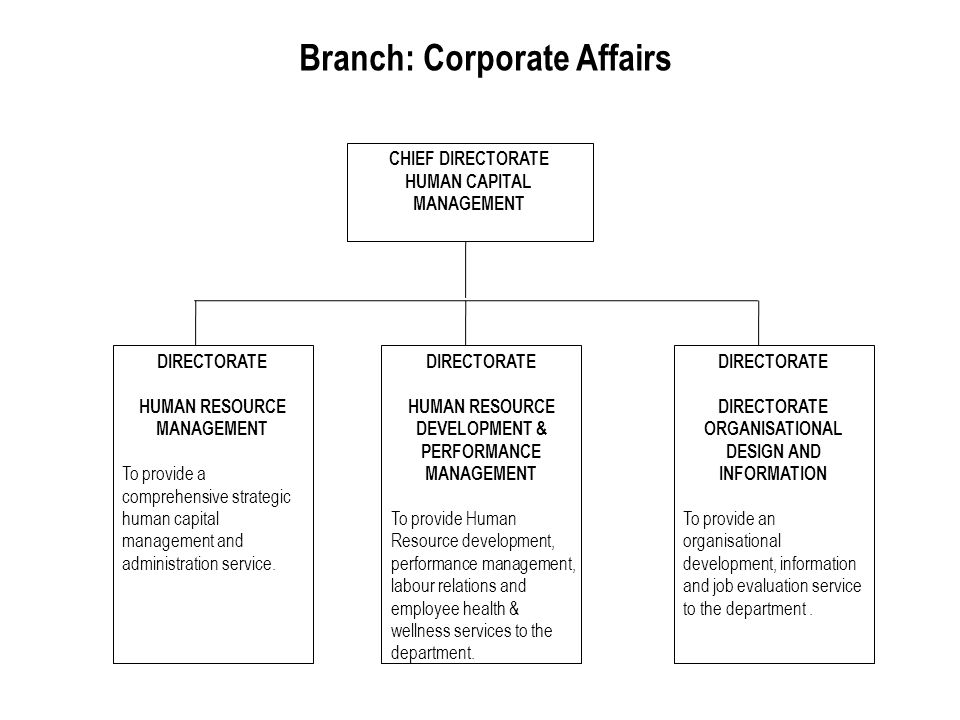 Branch: Corporate Affairs DIRECTORATE HUMAN RESOURCE DEVELOPMENT & PERFORMANCE MANAGEMENT To provide Human Resource development, performance management, labour relations and employee health & wellness services to the department.