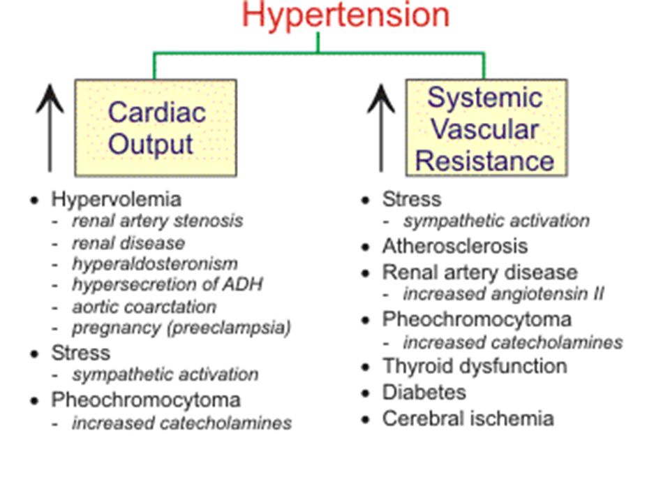 pathophysiology of hypertension