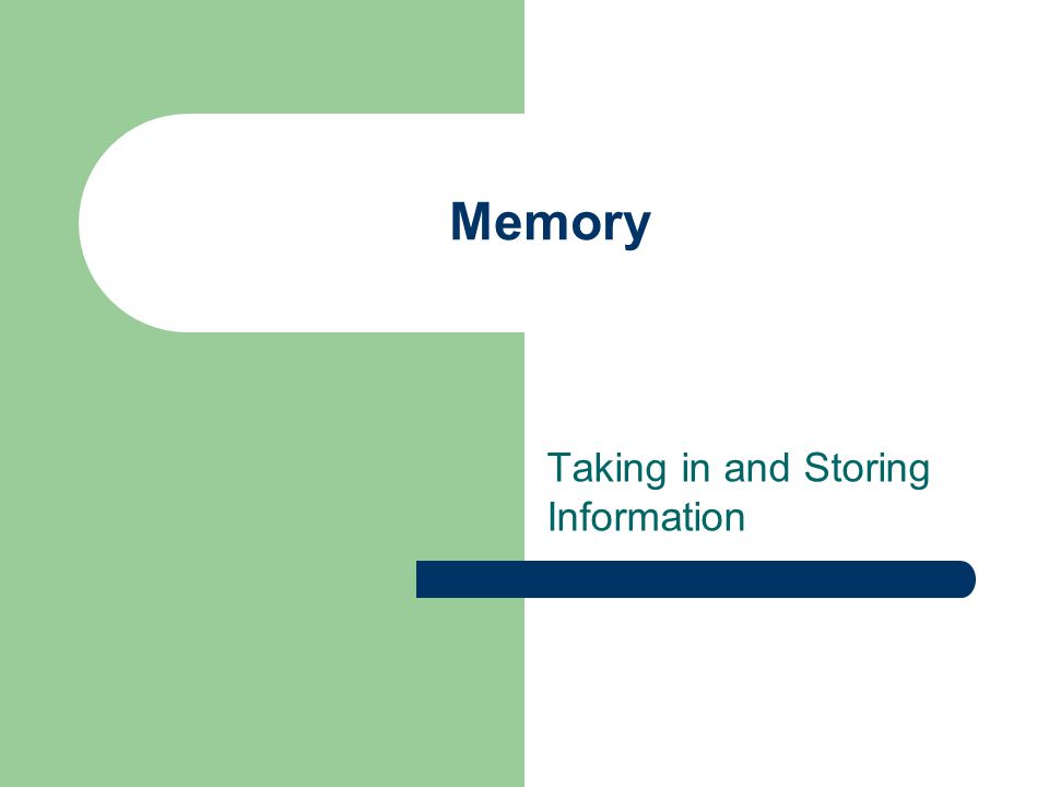 Memory Taking in and Storing Information