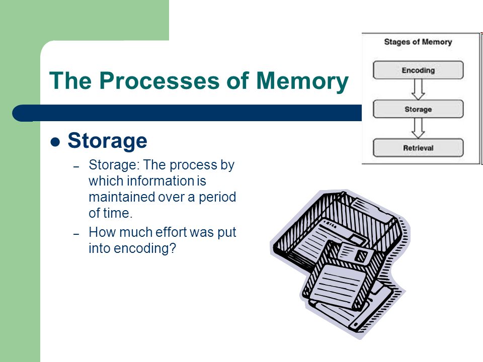 The Processes of Memory Storage – Storage: The process by which information is maintained over a period of time.