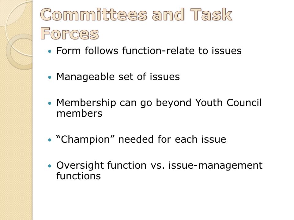 Form follows function-relate to issues Manageable set of issues Membership can go beyond Youth Council members Champion needed for each issue Oversight function vs.