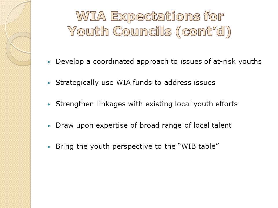 Develop a coordinated approach to issues of at-risk youths Strategically use WIA funds to address issues Strengthen linkages with existing local youth efforts Draw upon expertise of broad range of local talent Bring the youth perspective to the WIB table