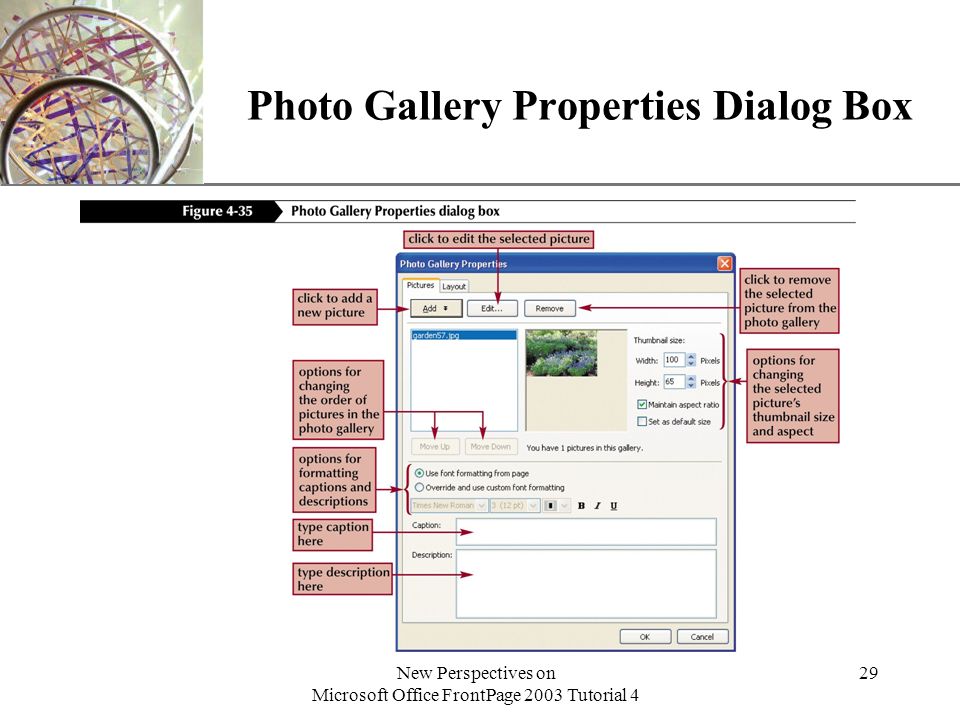 XP New Perspectives on Microsoft Office FrontPage 2003 Tutorial 4 29 Photo Gallery Properties Dialog Box