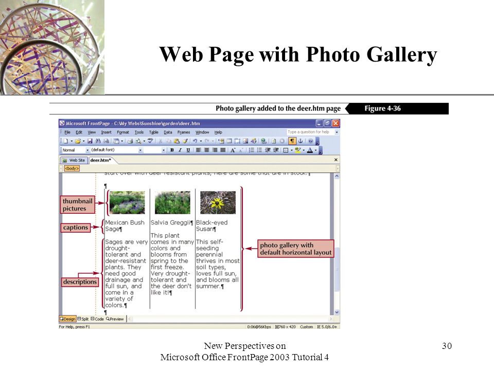 XP New Perspectives on Microsoft Office FrontPage 2003 Tutorial 4 30 Web Page with Photo Gallery