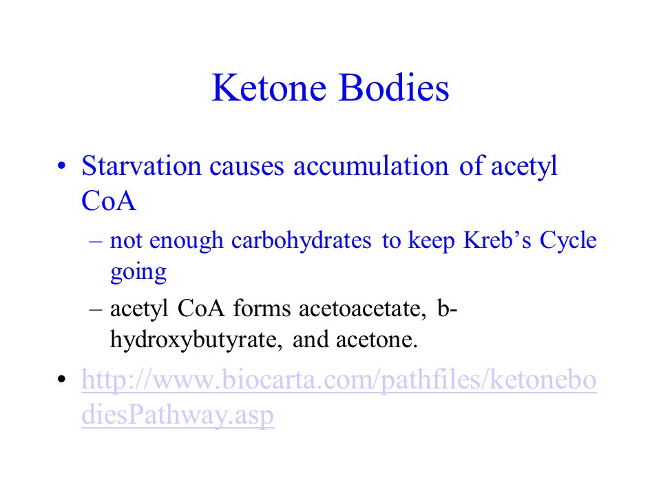 Kudzu root benefits weight loss picture 3