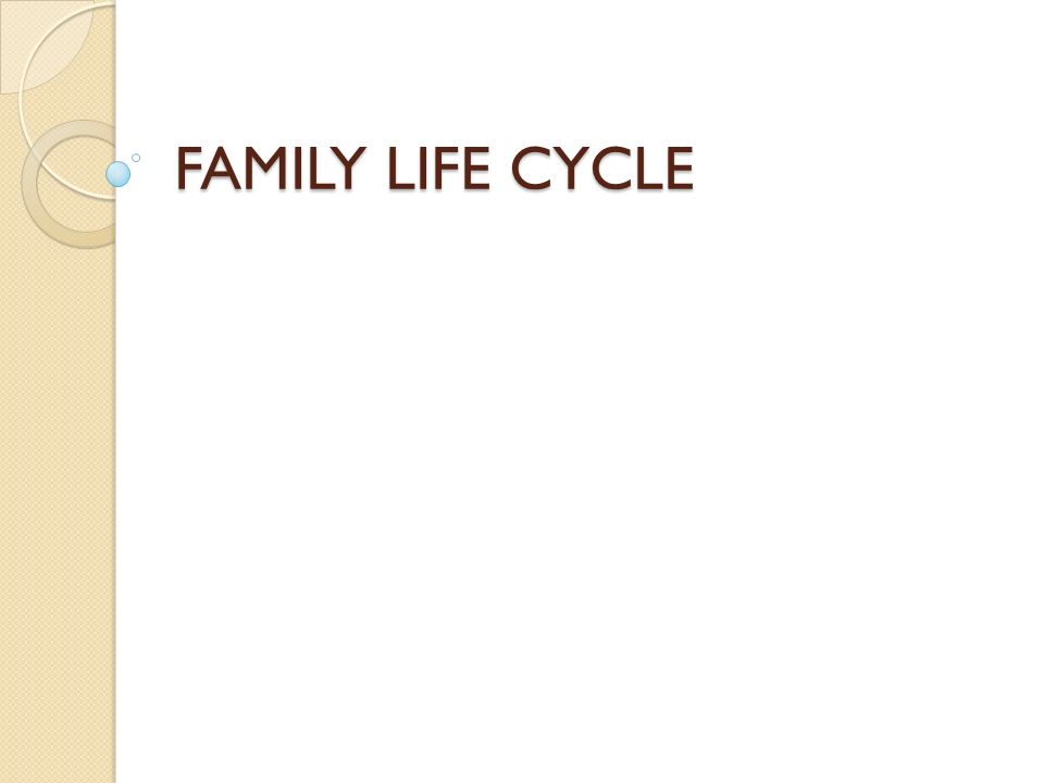 FAMILY LIFE CYCLE