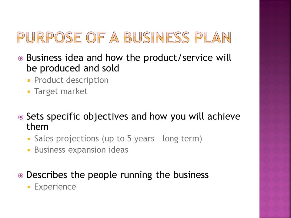 Business Plan Purpose